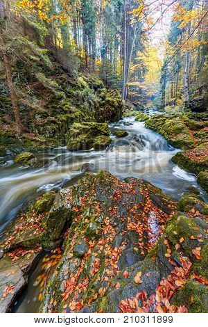 Autumn, Fall Wild River Doubrava, Picturesque Landscape.