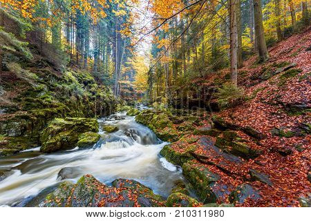 Autumn, Fall Wild River Doubrava, Picturesque Landscape.
