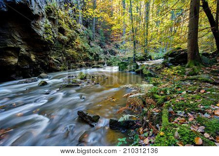Autumn, Fall Wild River Doubrava, Picturesque Landscape.