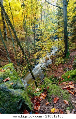 Autumn, Fall Wild River Doubrava, Picturesque Landscape.