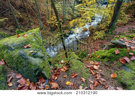 Autumn, Fall Wild River Doubrava, Picturesque Landscape.