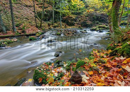 Autumn, Fall Wild River Doubrava, Picturesque Landscape.