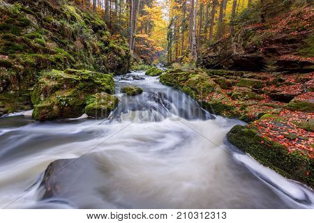 Autumn, Fall Wild River Doubrava, Picturesque Landscape.