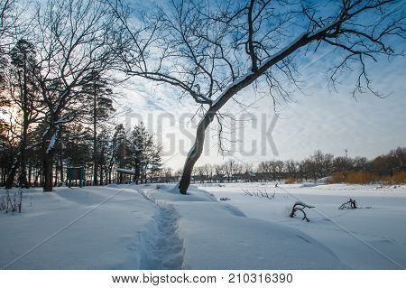 Winter Snowy Landscape On The Russian River