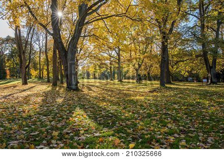 Autumn in Sweden - Folkparken, a city park in Norrkoping, on a sunny day in October 2017