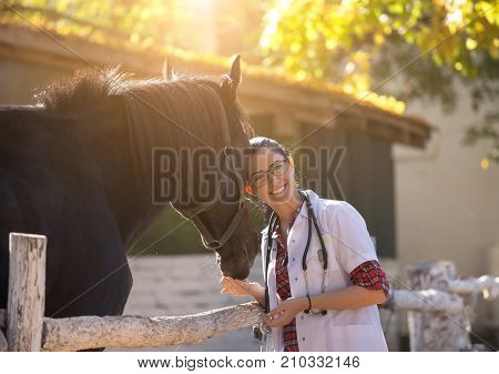 Veterinarian With Horse On Farm