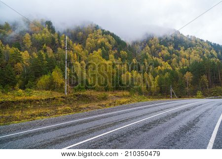 Federal highway M-52 Chuysky tract, asphalt road with markings among the autumn trees. Russia, the Altai Republic.