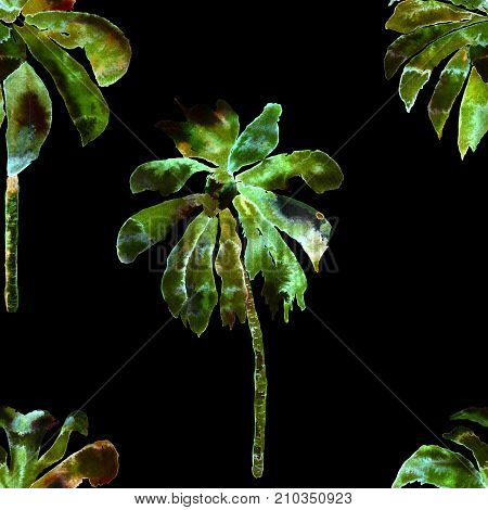 Tropic palm pattern. Exotic hawaiian geometric banana tree print. Miami beach swimwear. Seamless print with thailand flora. Aloha background. Holiday endless lei rapport with brazil jungles.