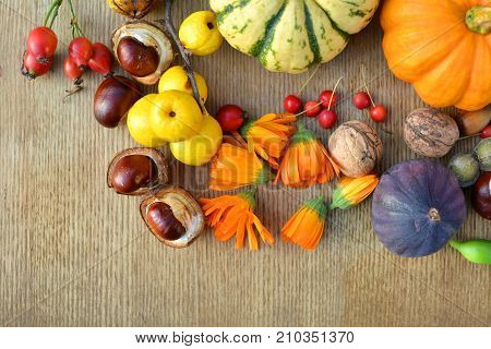 Autumn background with pumpkins fruits and nuts on wooden texture