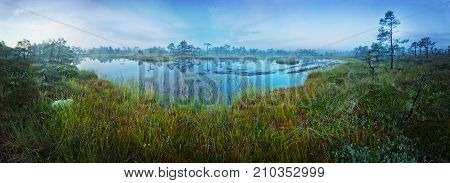 Sunrise in the bog. Icy cold marsh. Frosty ground. Swamp lake and nature. Freeze temperatures in moor. Muskeg natural environment. Beautiful trees sky and cloud reflection in water in the fen.