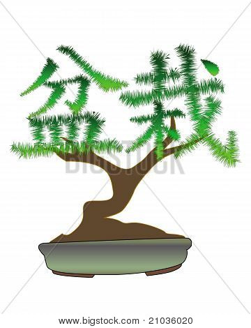 Japanske Bonsai-træ