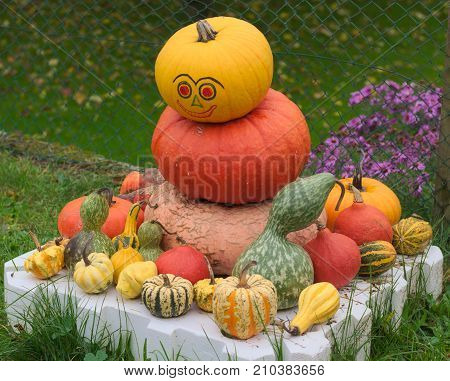 Figure of a man made of large ripe pumpkins