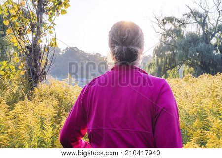 Woman wearing pink hiking through thick wilderness sun shining above seen from behind. Outdoor activity concept