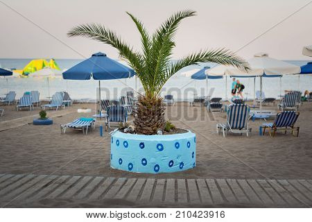 Palm tree as beach decoration on Rhodes island, Greece