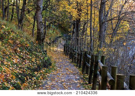 Road in autumn park near Bauska town, Latvia