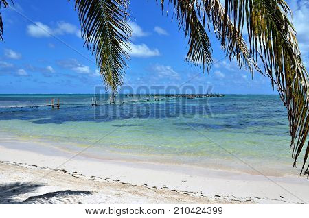 Beautiful beach at El Uvero, Costa Maya - México