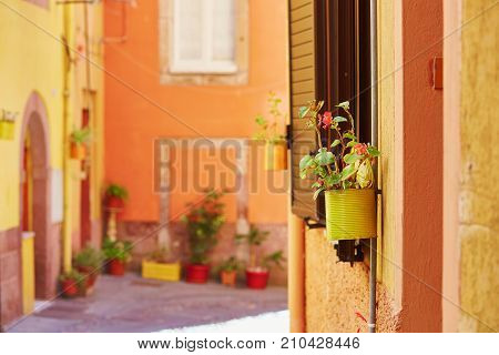 Colorful Houses On A Street Of Bosa, Sardinia, Italy