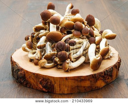 group of honey mushrooms on wood table