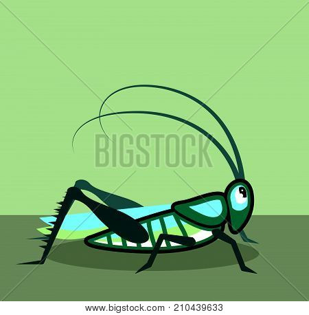 Cricket Grasshopper Vector Illustration Clip-art Image Eps