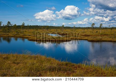 Amazing Pond Landscape In Nigula Reserve
