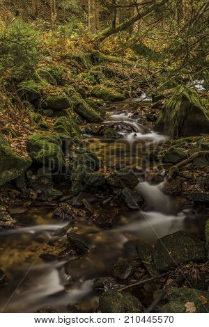 Javori Creek In Krkonose Mountains National Park In Autumn Color Day