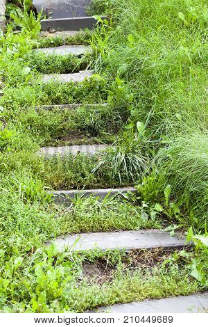 Old Improvised Steps On A Hill In The Forest. Photo Close-up, Side View