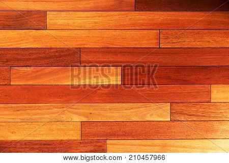 Wooden texture background. Exotic wood pattern.