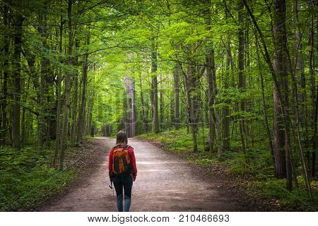 Young woman hiker with backpack walking on hiking trail in green summer forest. Hilton Falls conservation area, Ontario, Canada.