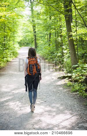 Young woman hiker with backpack walking on hiking trail in sunny summer forest. Hilton Falls conservation area, Ontario, Canada.
