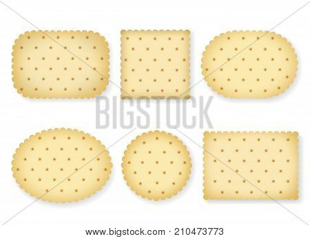 Biscuit crackers isolated on white background. Vector cartoon biscuits cookies of different shapes with cookie cracker texture