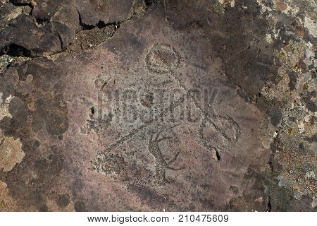 Petroglyphs of the tract Kalbak-Tash in Onguday district, Altai Republic, Russia.