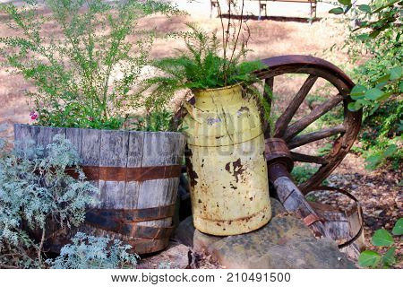 Rusty old farm jug used as a planter and a wagon wheel background