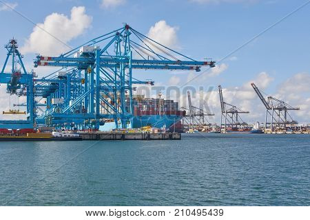 Huge container ship under dock cranes