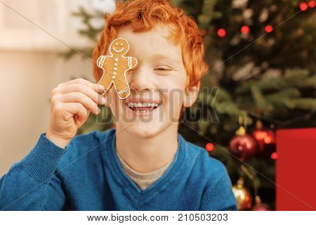 No time for worries. Portrait of a radiant redhead boy joking and smiling cheerfully while having fun and playing with a handmade gingerbread man.