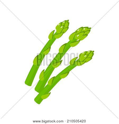 Vegetables. Asparagus green sprouts. Vector illustration cartoon flat icon isolated on white.