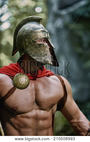 Vertical portrait of a medieval warrior in a helmet.