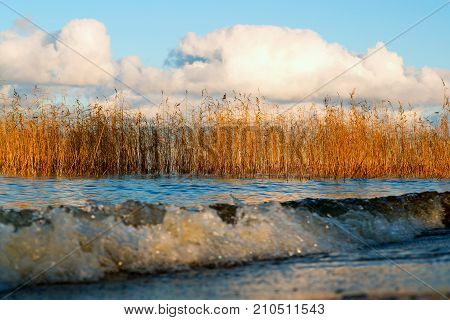 On the sandy shores of lake Ladoga in the autumn .