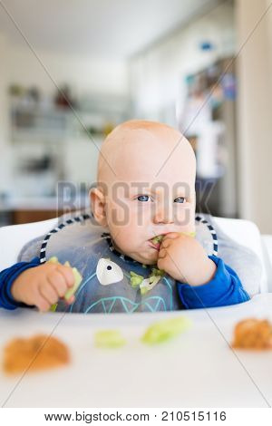 Child eating bread and cucumber with BLW method baby led weaning. Happy vegetarian kid eating lunch. Toddler eat himself self-feeding.