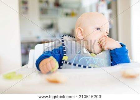 Baby boy eating bread and cucumber with BLW method baby led weaning. Happy vegetarian kid eating lunch. Toddler eat himself self-feeding.