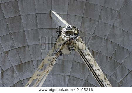 Goonhilly ned