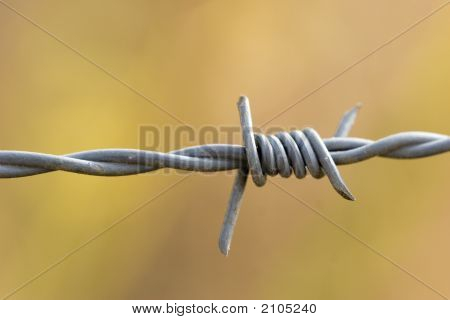 Колючая проволока