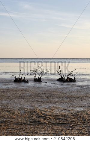 Evening landscape of Evros river in Greece.