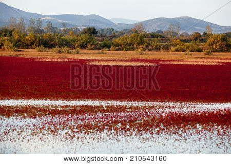 Evening landscape of Evros river in Greece.