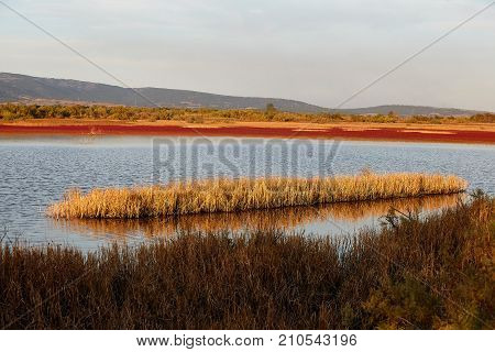 Evening landscape of Evros river in Greece.