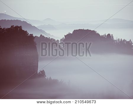 View Into Misty Valley. High Trees And Rocky Peaks Increased From Thick Fog.  The First Sun Rays