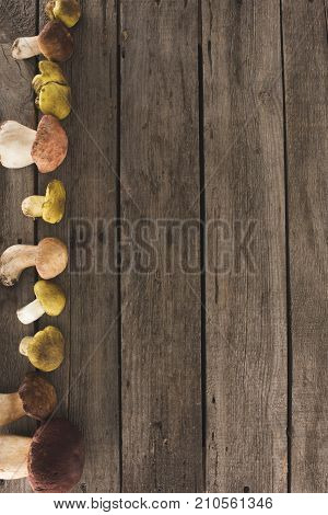 Wooden Surface With Different Types Of Mushrooms