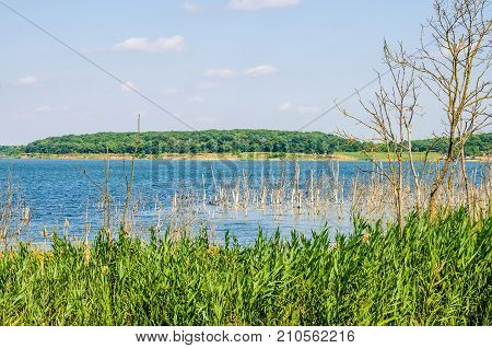 Beautiful landscape with several dry trees and a river