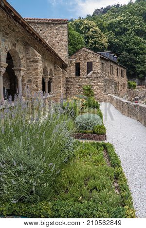 Herbs garden in the Romanesque Abbey of Saint Martin du Canigou in the French Pyrenees