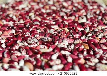 Closeup image of red white haricot kidney beans background