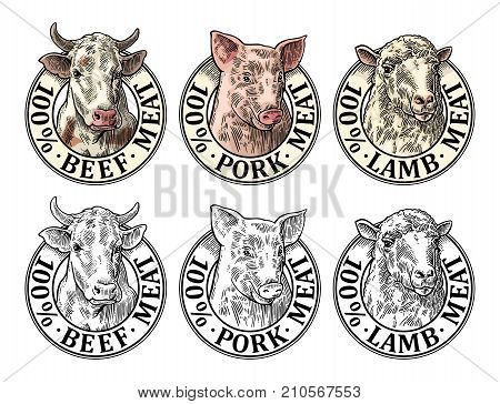 Cows, pig, sheep head. 100 percent beef pork lamb meat lettering. Hand drawn in a graphic style. Vintage color vector engraving illustration for label, poster. Isolated on white background